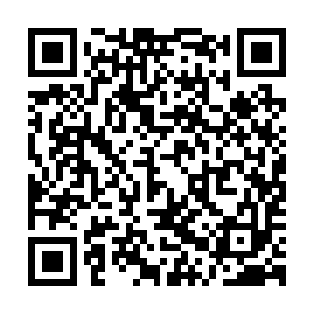 QR code for QPQ293