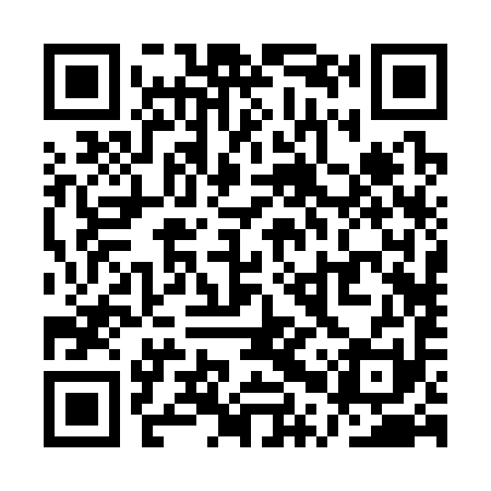 QR code for QPR391