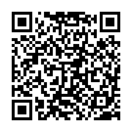 QR code for QQJ295
