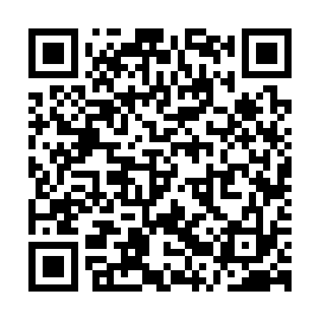 QR code for QRV333