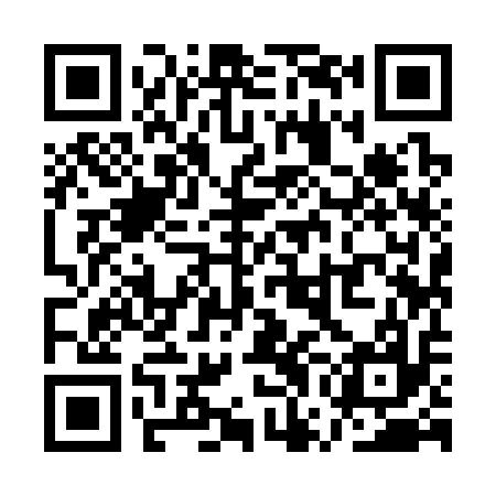 QR code for QWI317