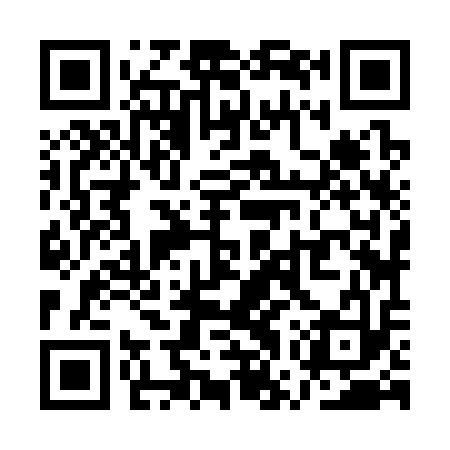 QR code for QWZ313