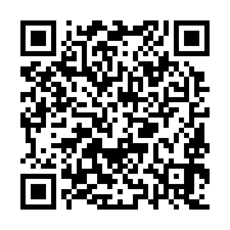 QR code for QYE393