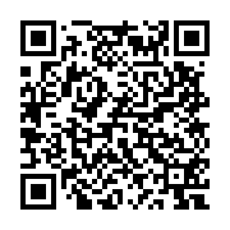 QR code for QYS550