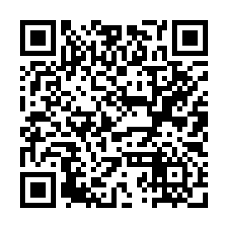 QR code for QZL196