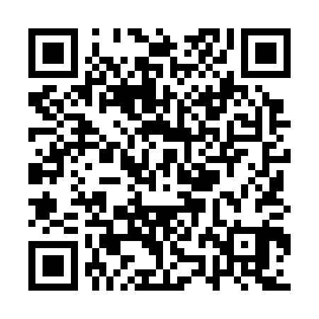 QR code for QZL301