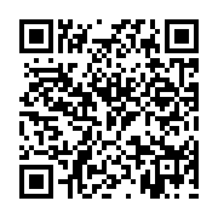 QR code for QZL959