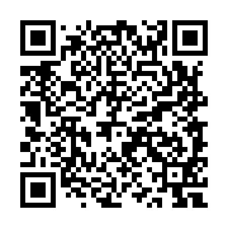 QR code for QZT991