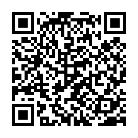 QR code for RAO428