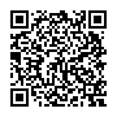 QR code for RAY611