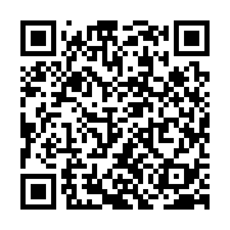 QR code for RGI339