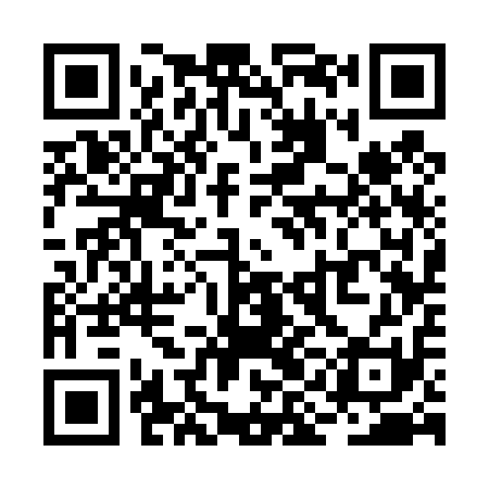 QR code for RIC411