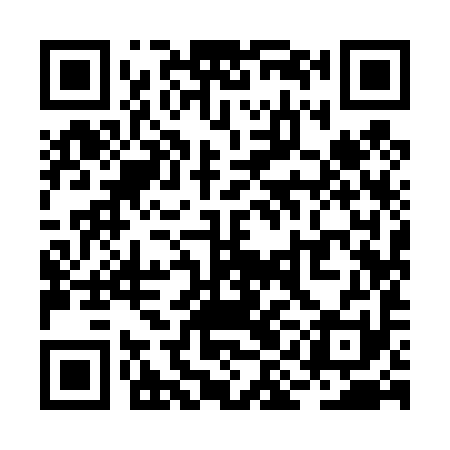 QR code for RII491