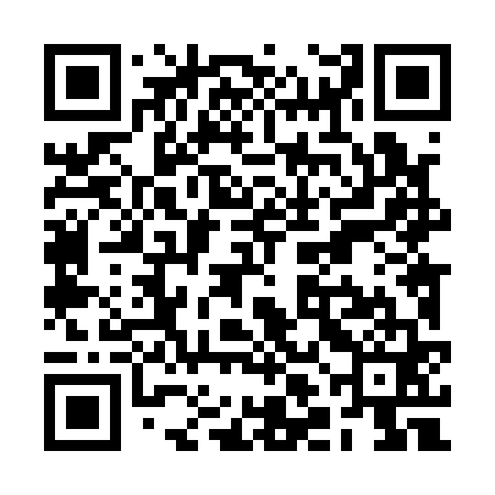 QR code for RLL161