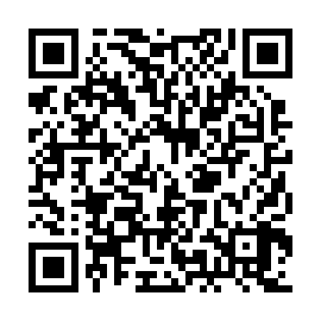 QR code for RMB208
