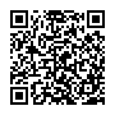 QR code for ROI786