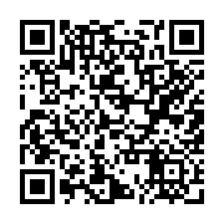 QR code for ROU333