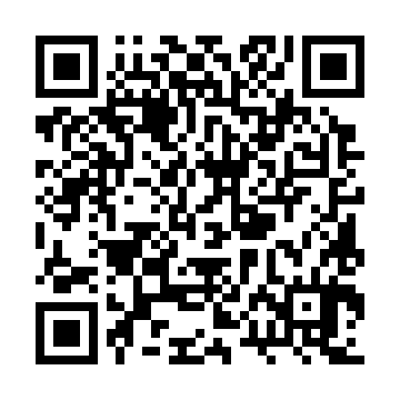 QR code for RPE384