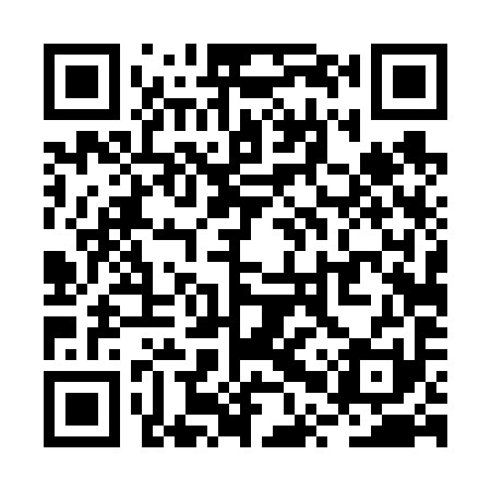 QR code for RPT691
