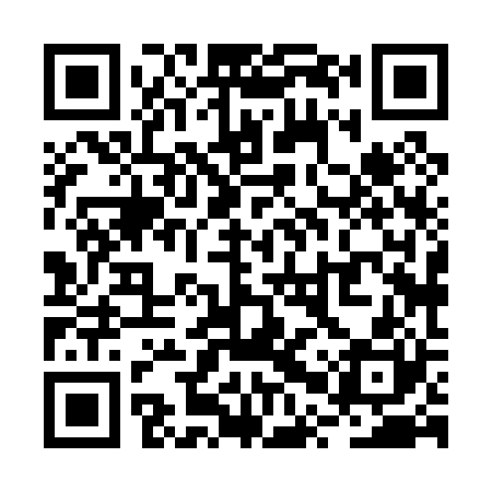 QR code for RPX020