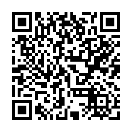 QR code for RSJ311
