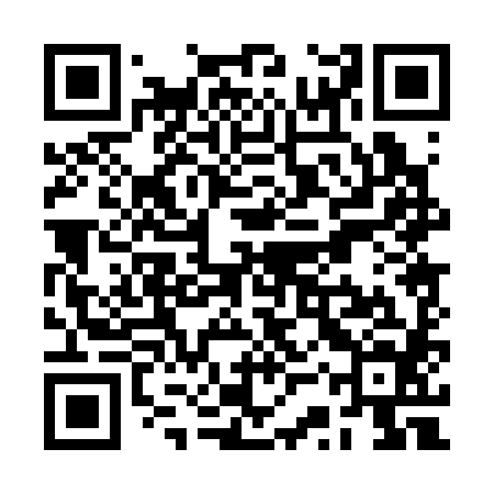 QR code for RSP384