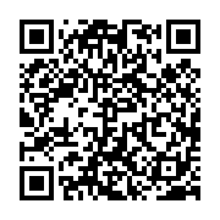 QR code for RSP411
