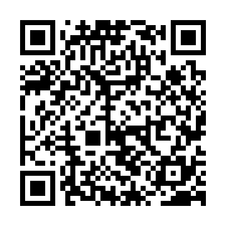 QR code for RUN335