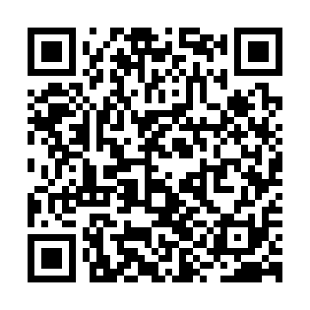 QR code for RYG311