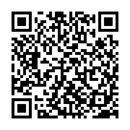 QR code for RZI391