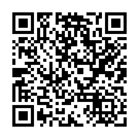 QR code for RZN313