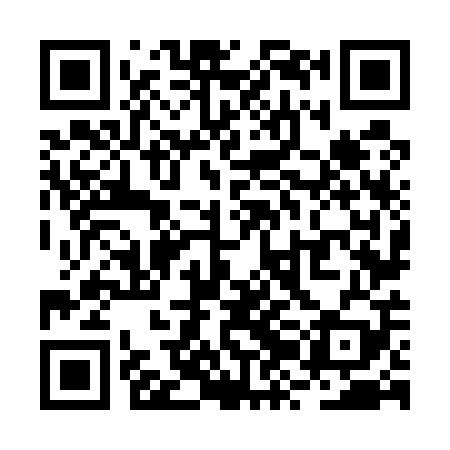 QR code for RZN509