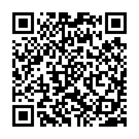 QR code for RZR699