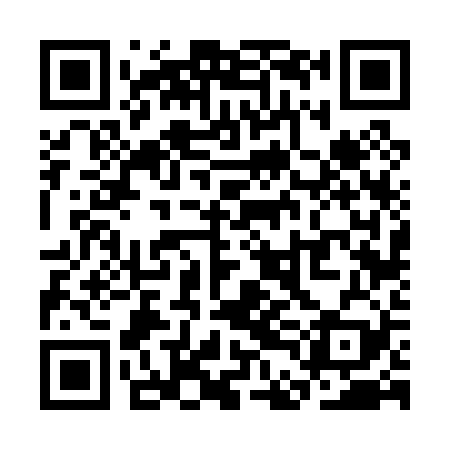 QR code for SDF029