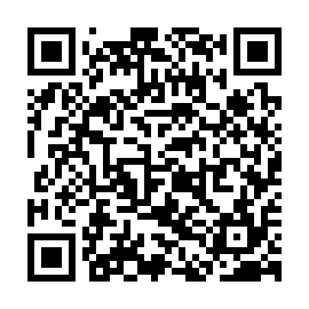 QR code for SDG314