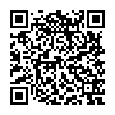 QR code for SDG968