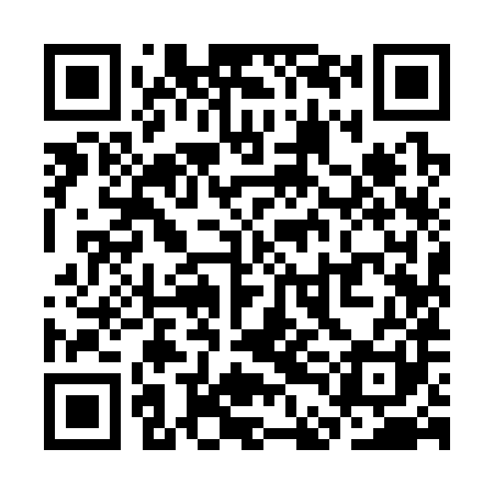QR code for SDI381