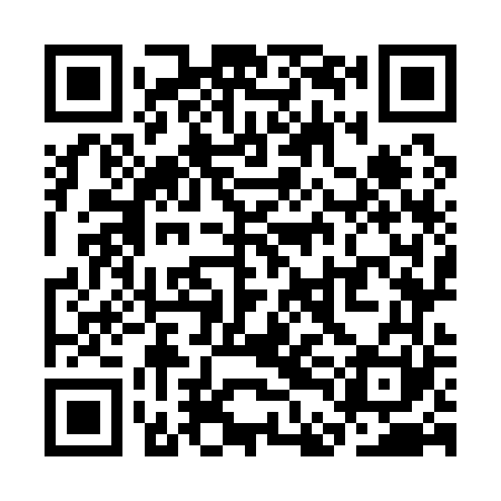 QR code for SDO161