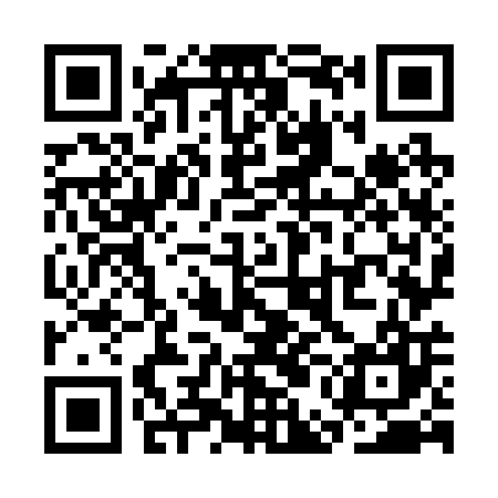 QR code for SEO207