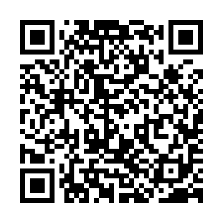 QR code for SFF991