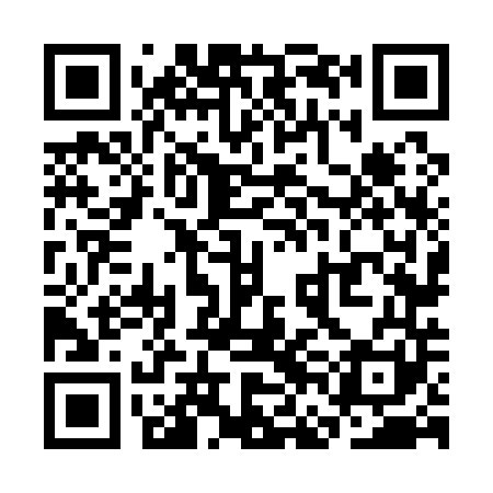QR code for SFN141