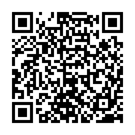 QR code for SFQ317