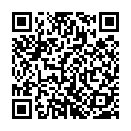 QR code for SIG509
