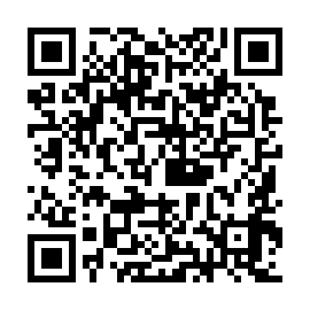 QR code for SII399