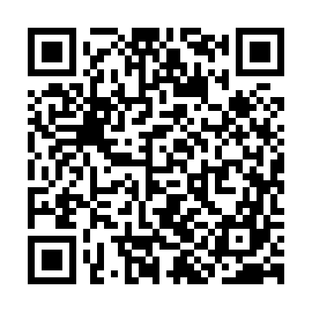 QR code for SII867
