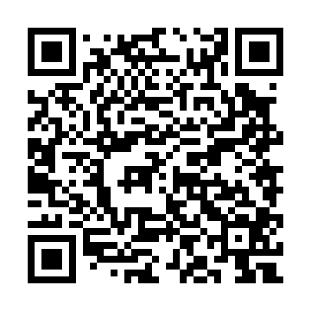 QR code for SIN004