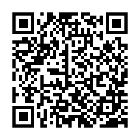 QR code for SIN382