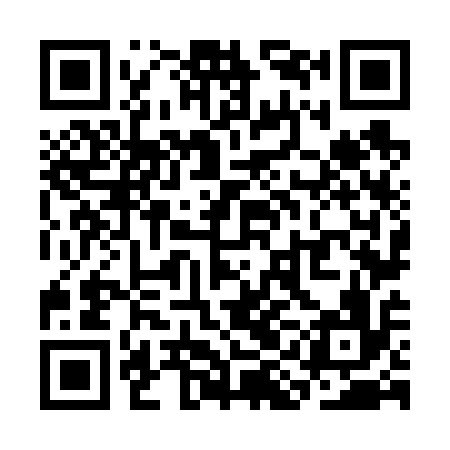 QR code for SIN616