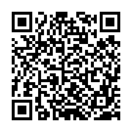 QR code for SIN656