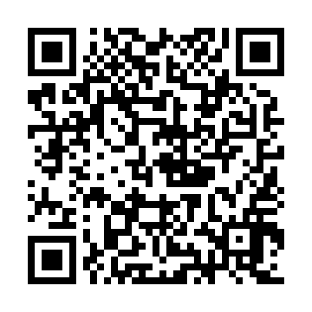 QR code for SIN816